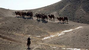 Fascinating Mongolia – vastness, desert, wilderness