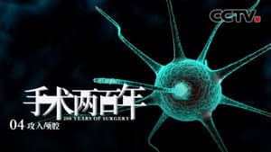 Exploring the Brain