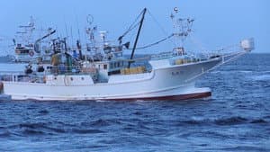 No Going Back: New Ideas from a Tsunami-hit Fishing Town