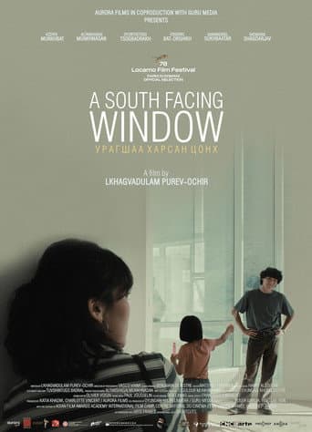 A South Facing Window