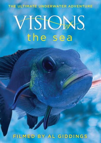 Visions of the Sea