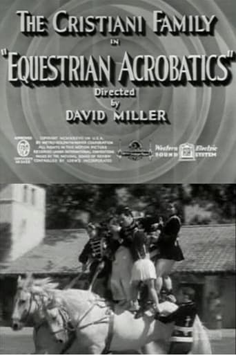 Equestrian Acrobats