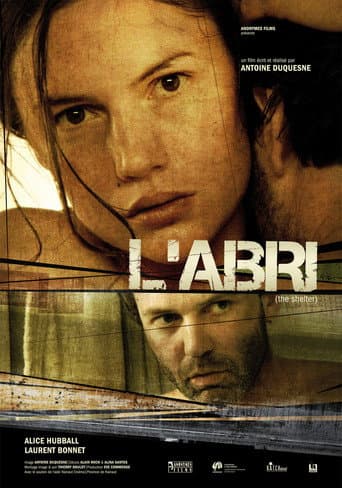 The Shelter