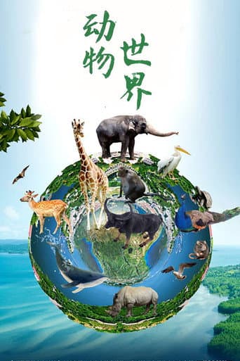 动物世界(赵忠祥)