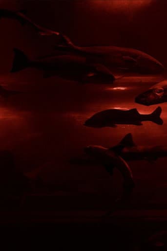 Red Wave​