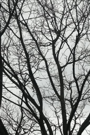 Tree Limbs