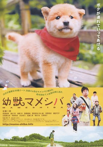 Mameshiba Cubbish Puppy