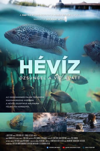 The Underwater Jungle
