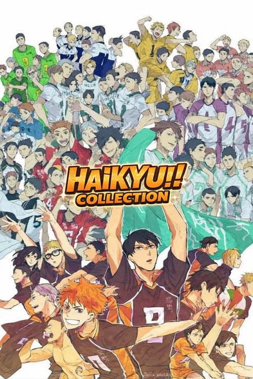 Haikyu!! OVA Collection