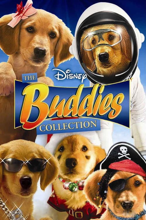 Buddies Collection