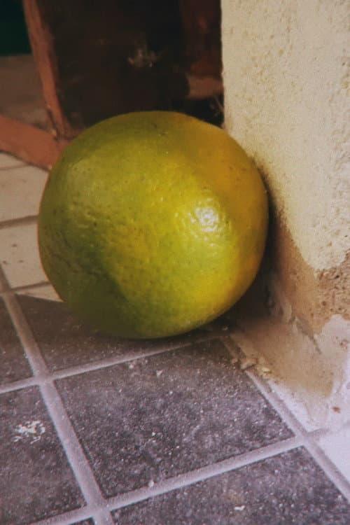 Laranja