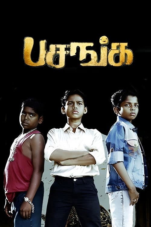 Pasanga Collection