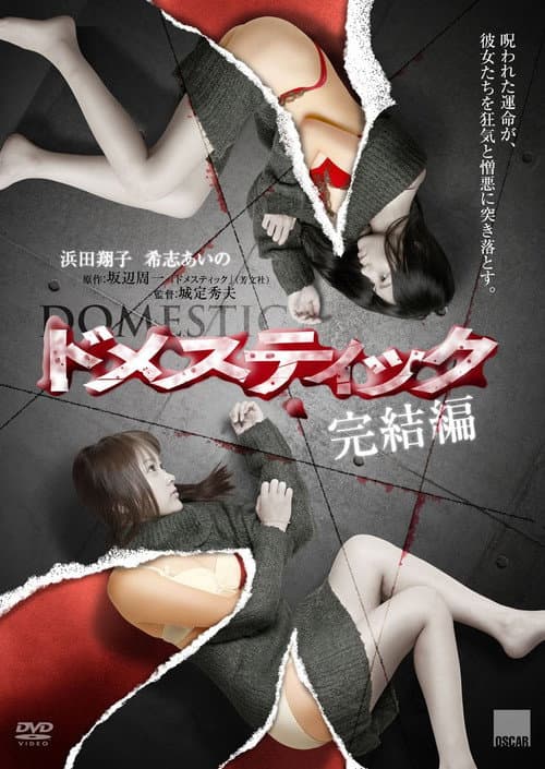 Domestic Sadistic Box