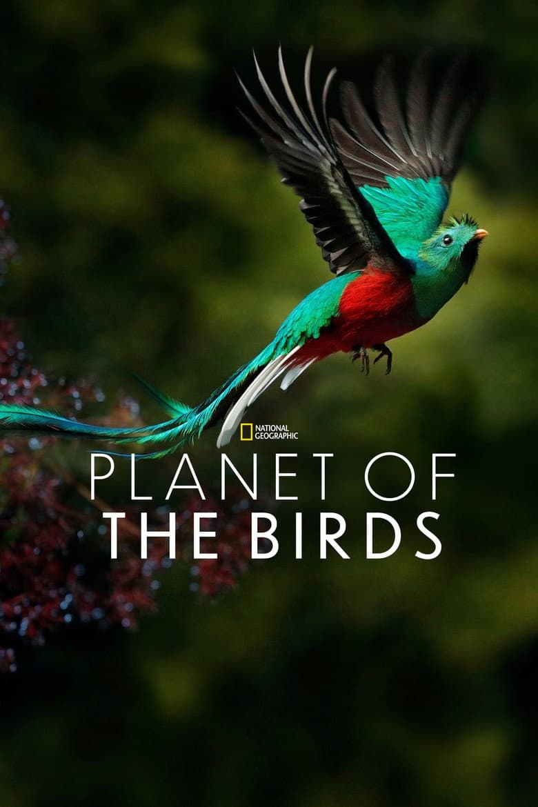 Planet of the Birds
