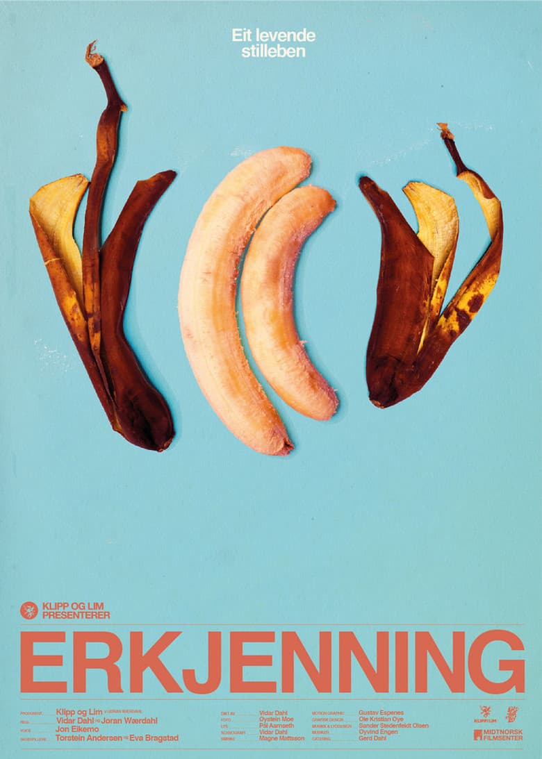 Erkjenning