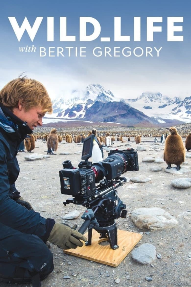 Wild Life: The Big Freeze
