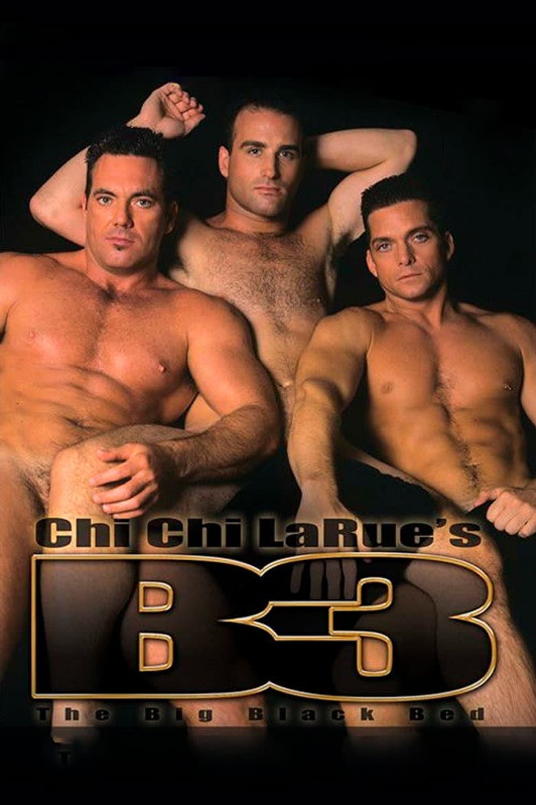 The Big Black Bed