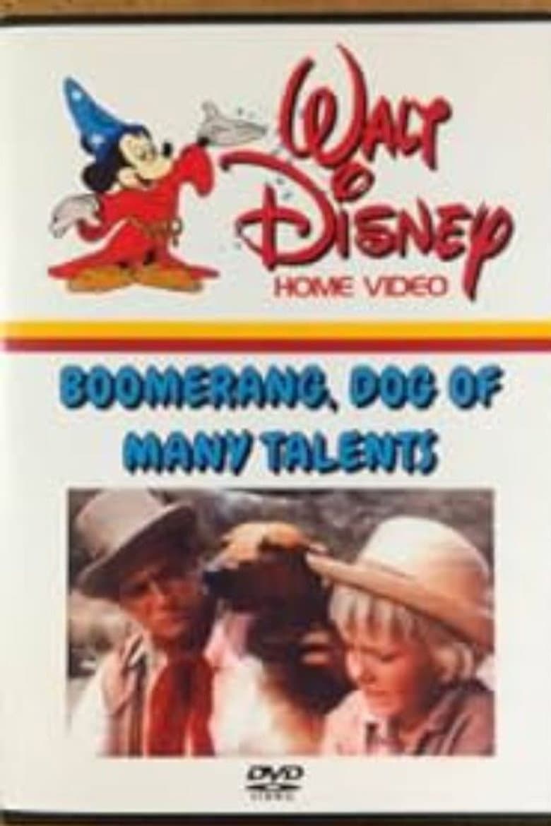 Boomerang, Dog of Many Talents