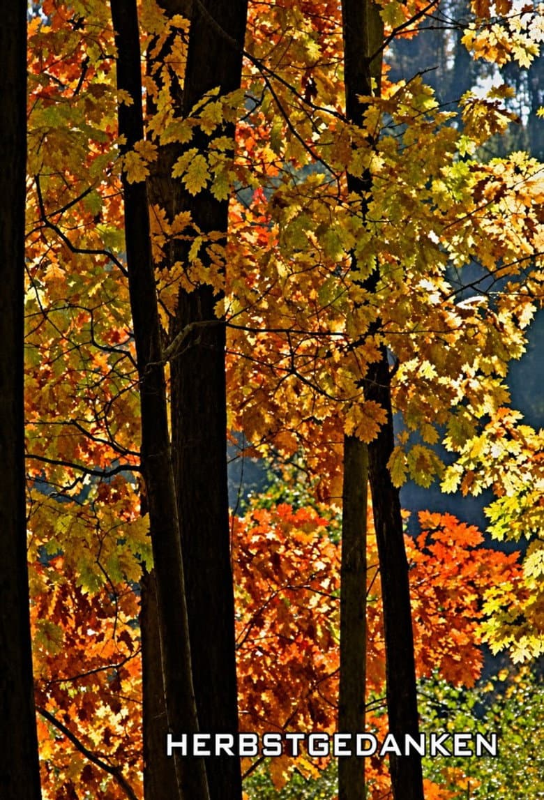 Herbstgedanken