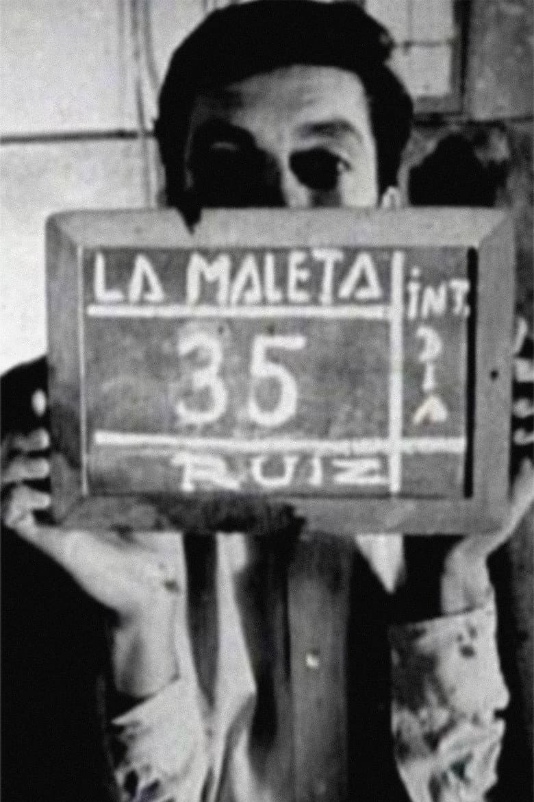 The Suitcase