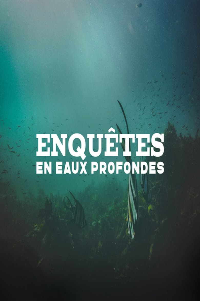 EnquĂȘtes en eaux profondes