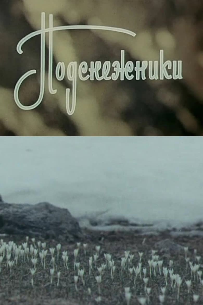Snowdrops