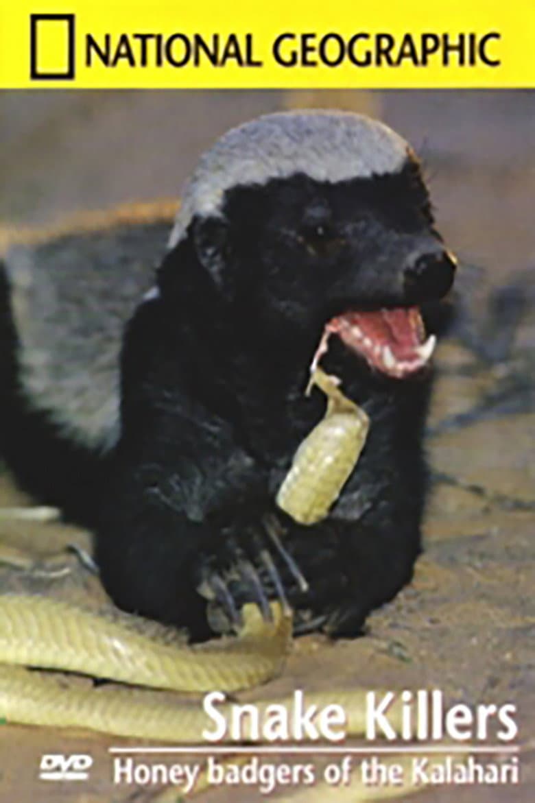 Snake Killers - Honey badgers of the Kalahari