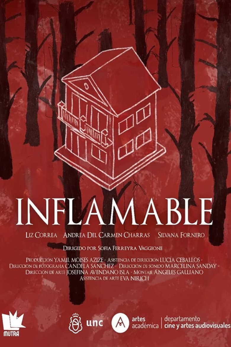 Inflamable