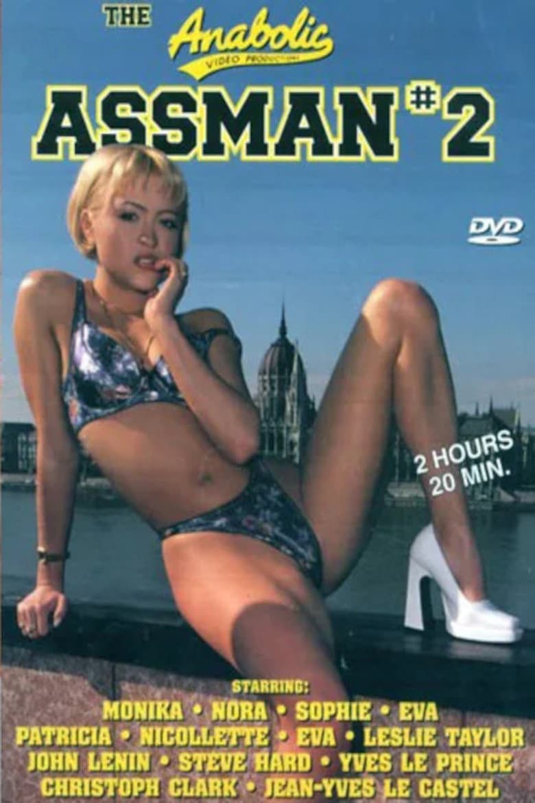 Assman 2