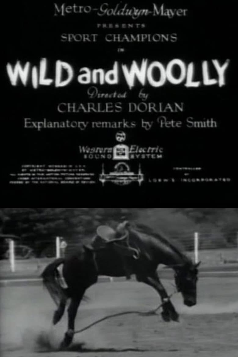 Wild and Woolly
