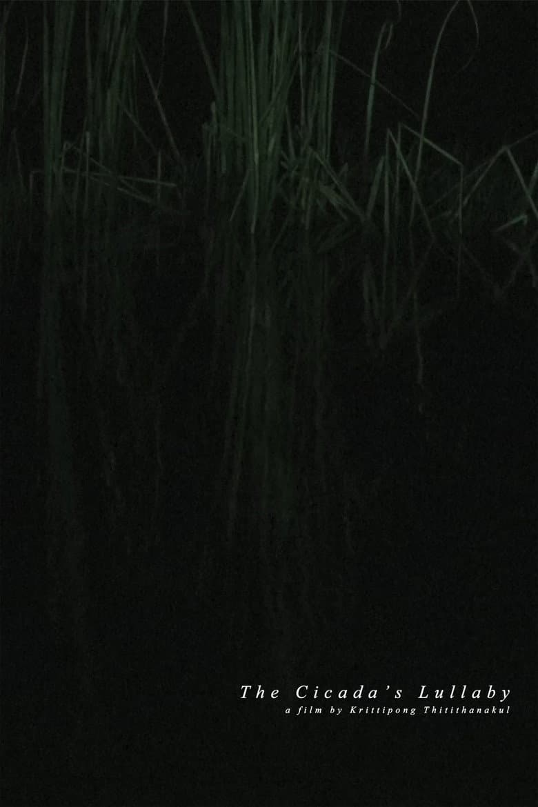 The Cicada's Lullaby