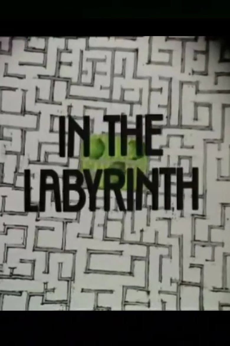 In the Labyrinth