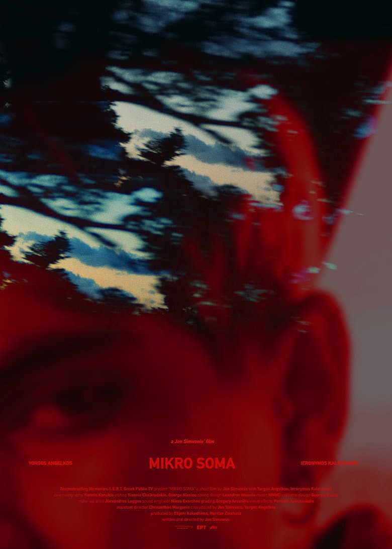 Mikro Soma