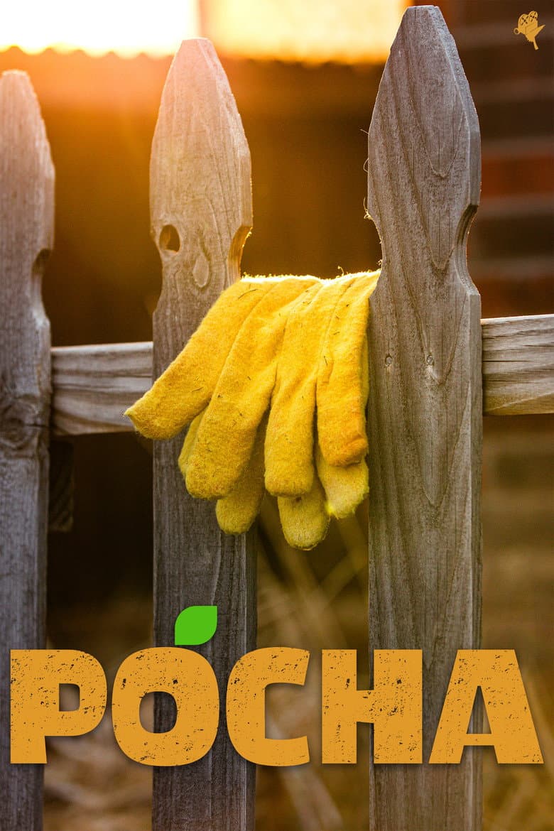Pocha