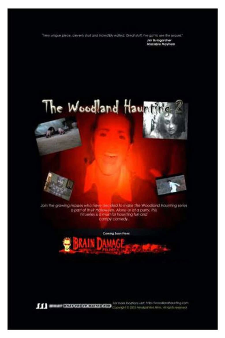 The Woodland Haunting 2