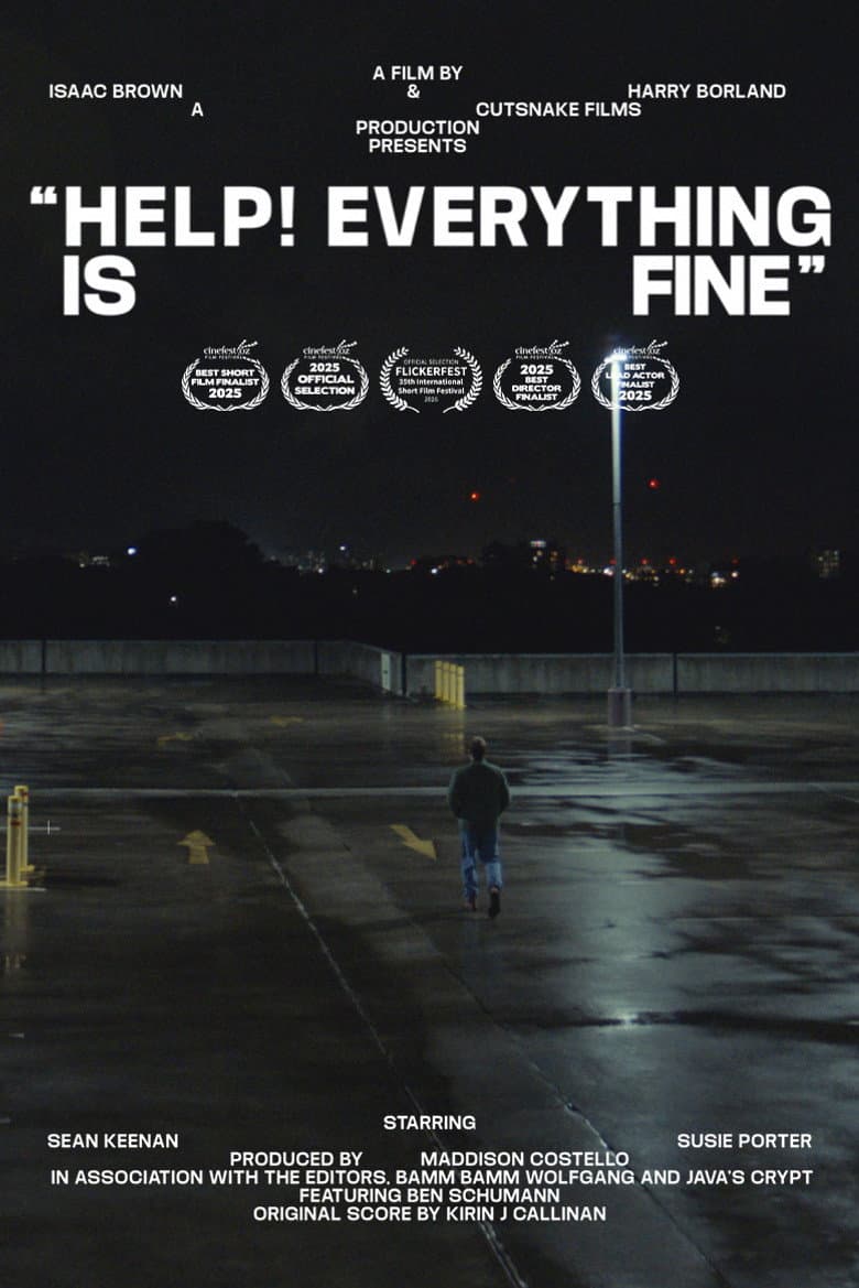 Help! Everything is Fine