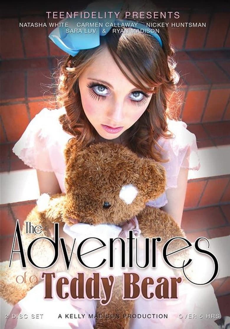 The Adventures of a Teddy Bear