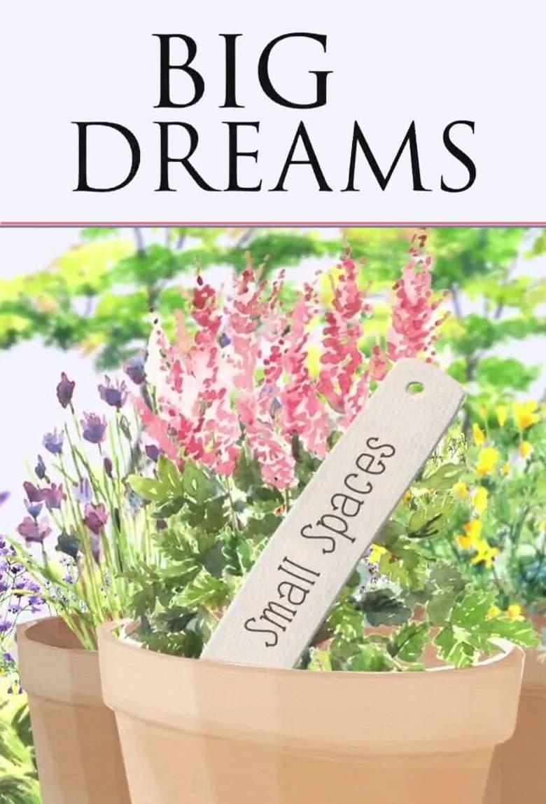 Big Dreams Small Spaces