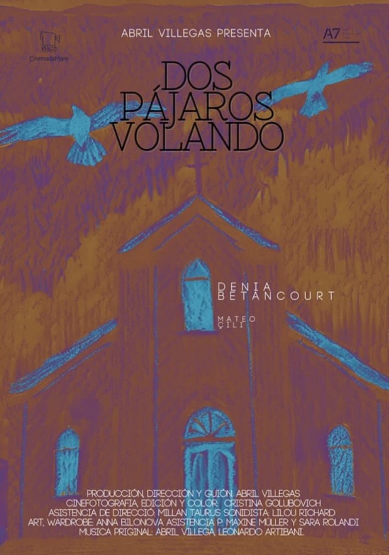 Dos pájaros volando