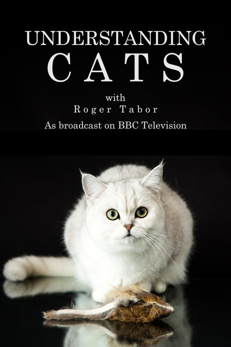 Understanding Cats