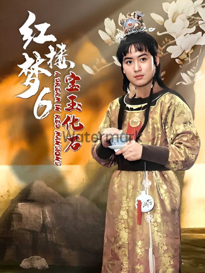 红楼梦第六部：宝玉化石（上）