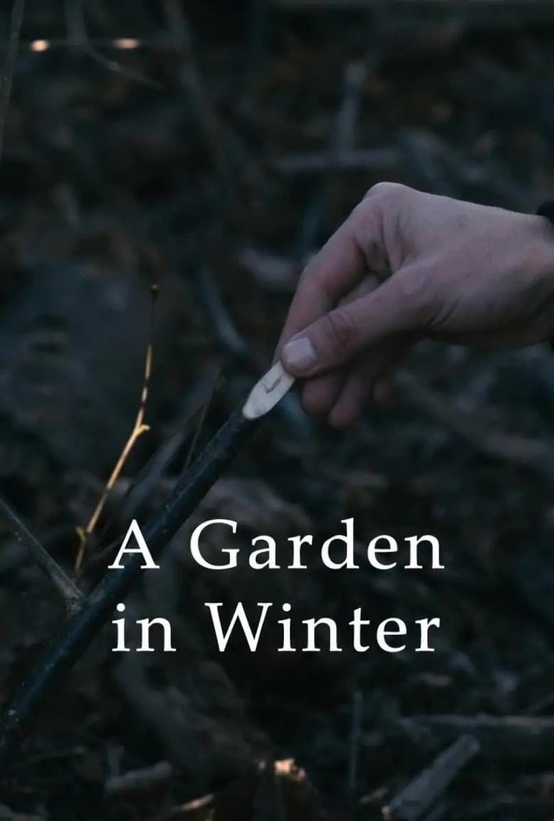 A Garden in Winter