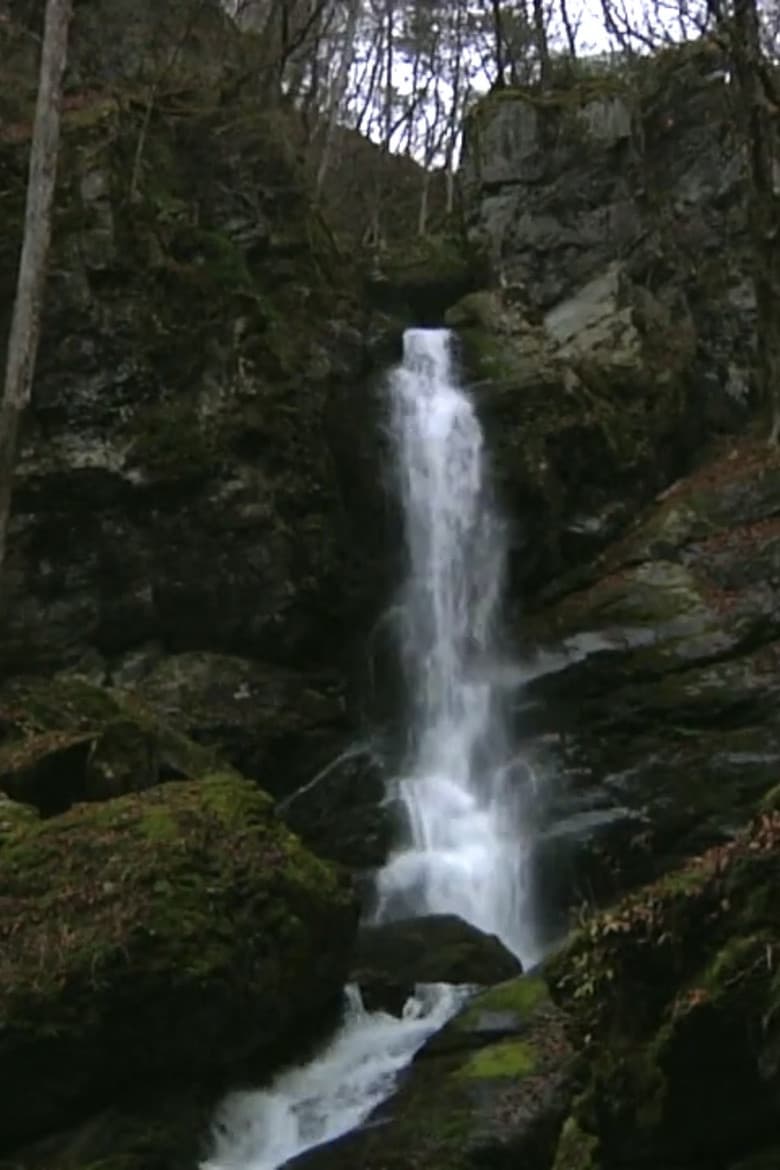 Falling Water, Scattered Scenery