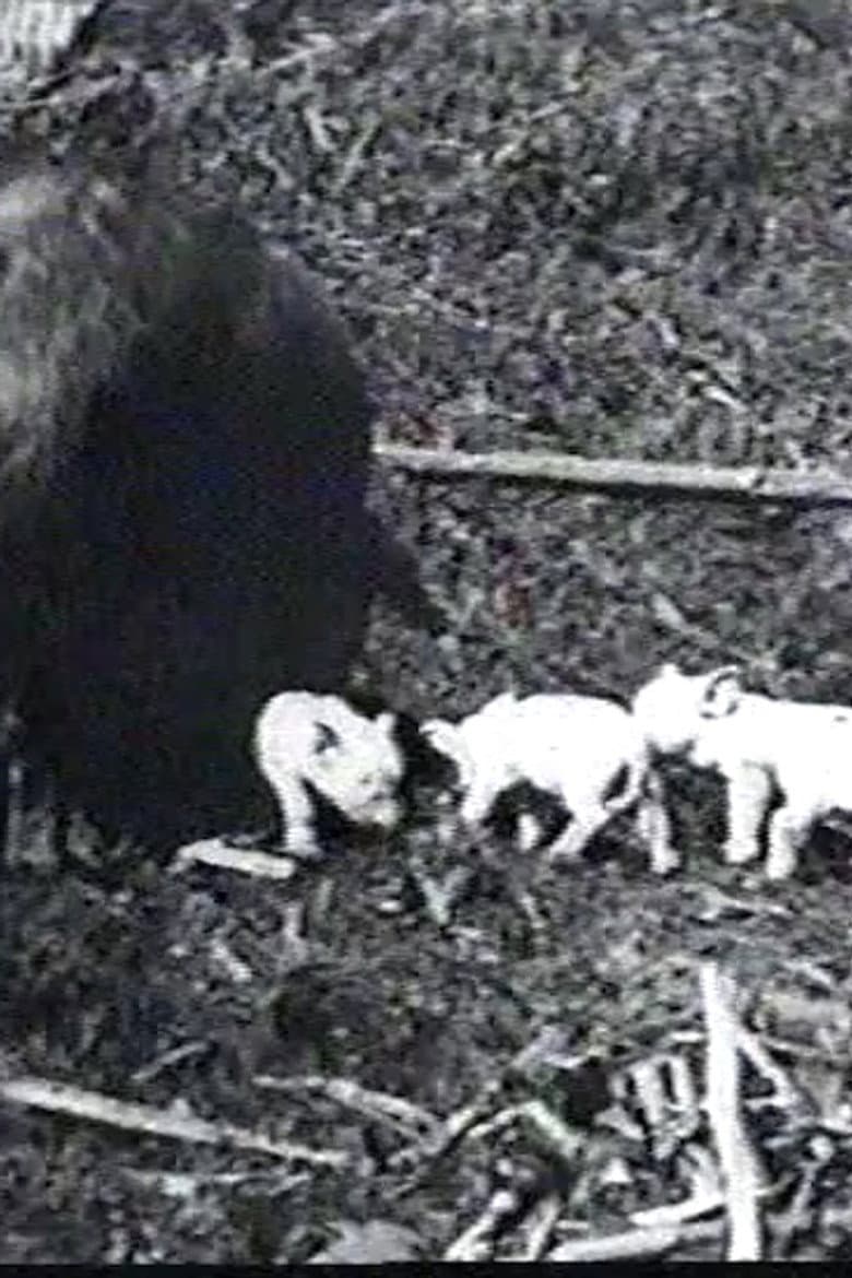 Mamma's Pets