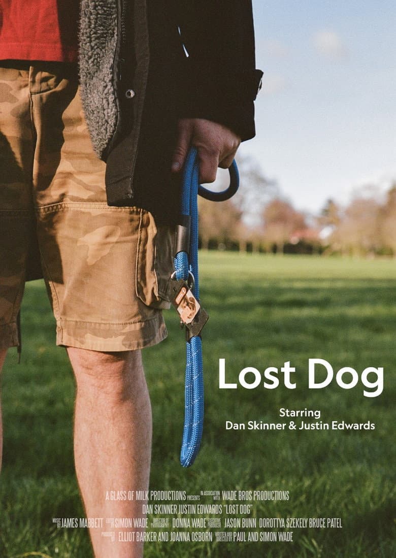 Lost Dog