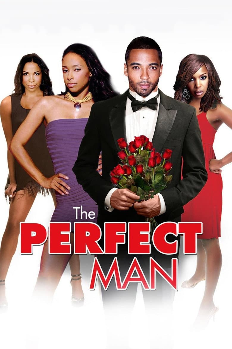 The Perfect Man