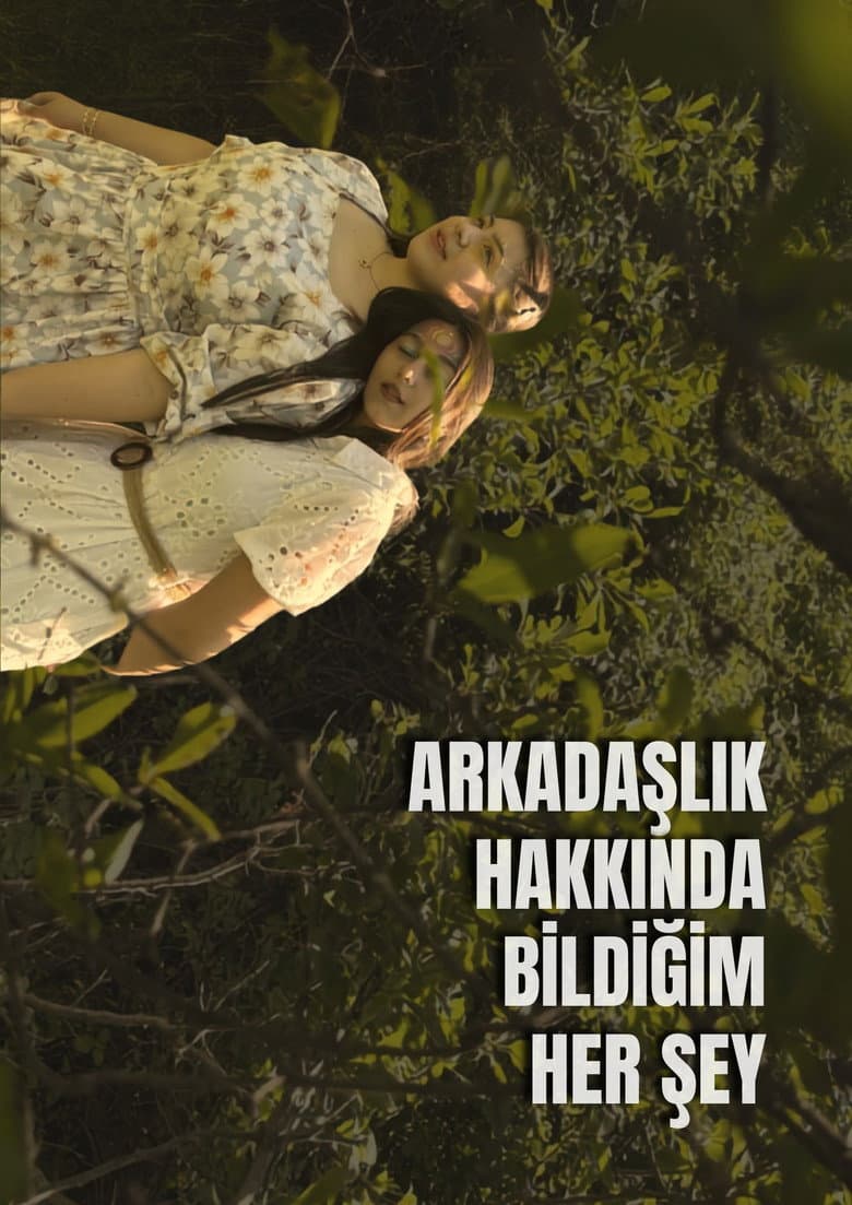 Arkadaşlık Hakkında Bildiğim Her Şey