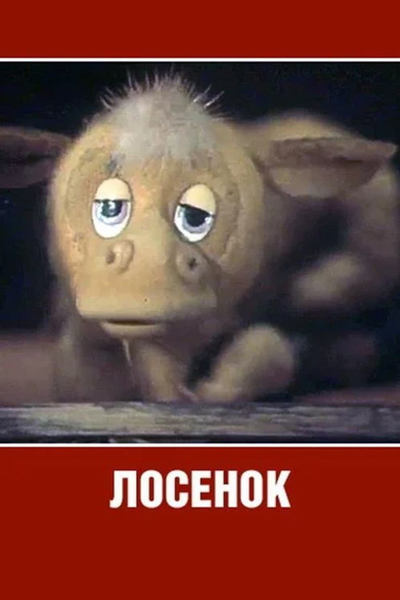 Losyonok