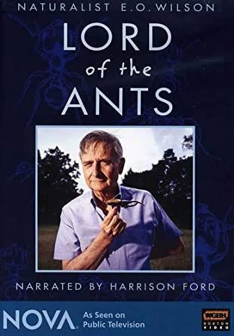 Lord of the Ants