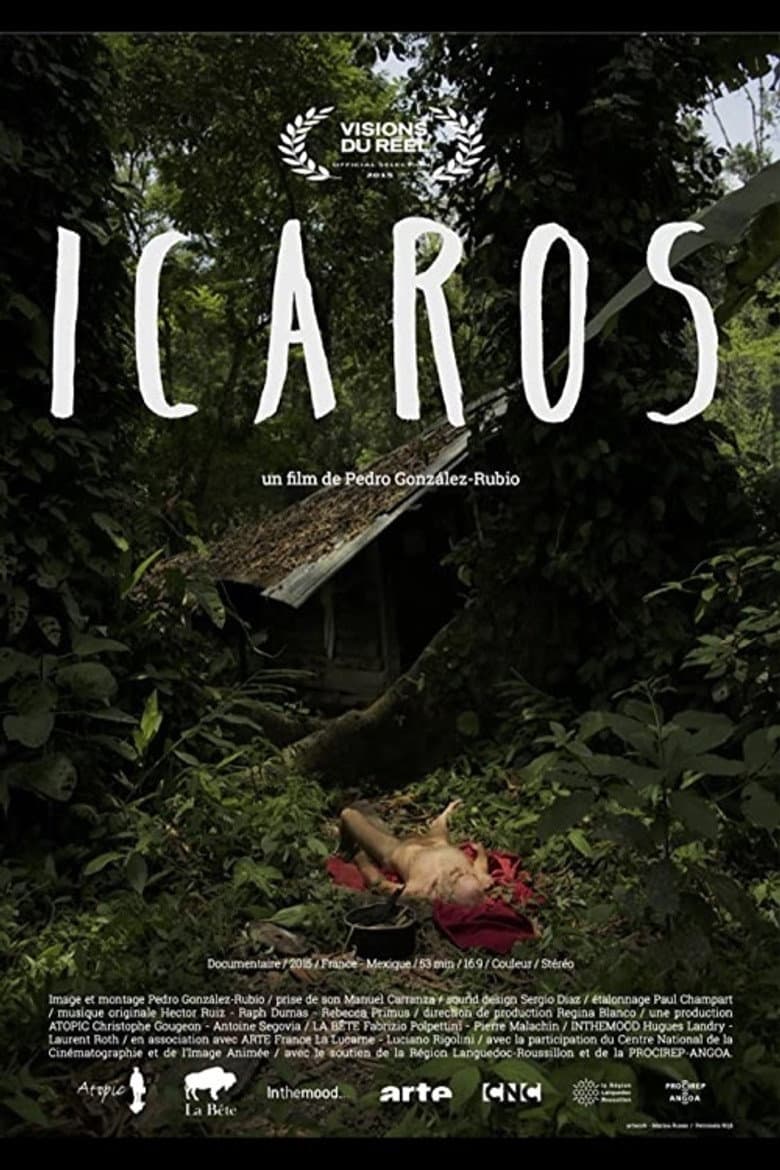 Ícaros